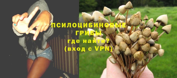 сатива Нефтекумск