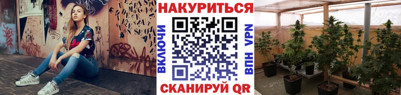Бошки Шишки SATIVA & INDICA  Ак-Довурак 